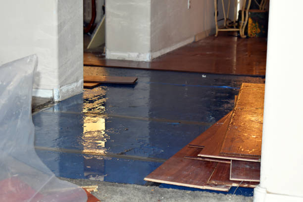 Professional Burst Pipe Cleanup technician working in Winnebago, IL